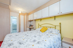 Paddock Rise Beechwood